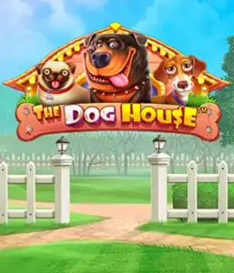 Pragmatic Play's The Dog House, featuring a delightful experience through lovable dogs. Enjoy features including multipliers, aimed at providing entertaining gameplay. A must-try for those who enjoy an amusing setting alongside lucrative rewards.