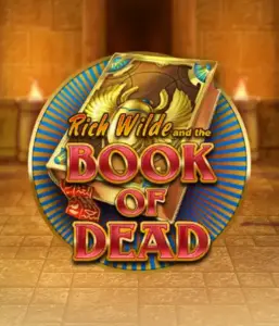 Enter the thrilling world of Book of Dead Slot by Play'n GO, showcasing vivid graphics of Rich Wilde’s adventurous journey through ancient Egyptian tombs and artifacts. Uncover lost riches with exciting mechanics like free spins, expanding icons, and a gamble option. Ideal for those seeking adventure with a desire for unearthing secrets.